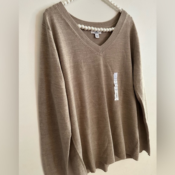 NWT| Nude V Neck Sweater - Picture 2 of 6